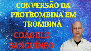 Conversão da protrombina em trombina Coagulação sanguínea [upl. by Sidonie553]