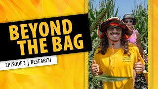 Wyffels Hybrids  Beyond the Bag  Research [upl. by Lenard]