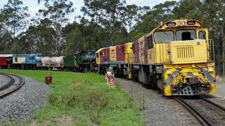 Carnival Of Flowers Steam Train Compilation [upl. by Darelle]