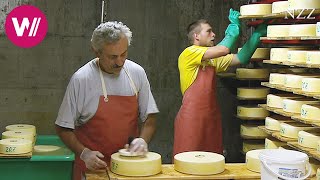 Cheesemaking  visiting a Swiss dairyman [upl. by Atiugram]