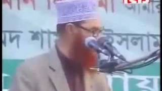 Heavy Weight Speech By Allama Deloar Hossain Saidi [upl. by Terti]