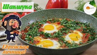 Шакшука — Еврейская Яичница Завтрак из Израиля Shakshuka — Jewish Scrambled Eggs [upl. by Introk]