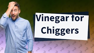 Does vinegar work on chiggers [upl. by Atikehs]