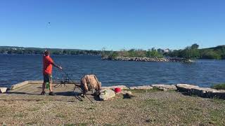 Fishing at Burlington Bay Burlington Waterfront Life [upl. by Rraval]