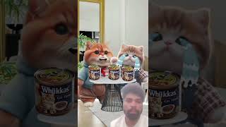 Cute family funny fighting moment 🤣cat catlover shorts [upl. by Samala]