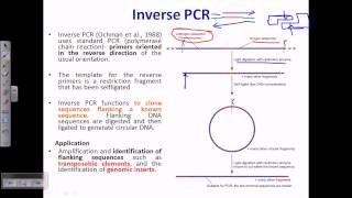 Inverse PCR [upl. by Haraf317]