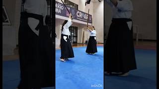 Ki musubi no tachi en aikido kawakai organizacionargentinadeaik5379 [upl. by Moriarty]