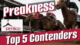 2024 PREAKNESS STAKES TOP 5 CONTENDERS  PIMLICO RACE COURSE 5182024 [upl. by Ylek485]