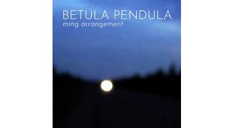 Carbon Based Lifeforms  Betula Pendula Ming Remix [upl. by Emlen]