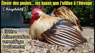 élever des poules quelques conseils alimentation vermifuge [upl. by Mosera]