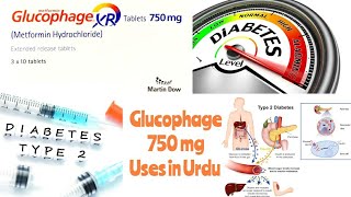 Glucophage XR tablets 750 mg uses [upl. by Otrebliw917]