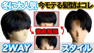 【超簡単】センターパートとシースルーマッシュの2WAYスタイル！ [upl. by Rabelais]