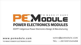 PEModule  PLUGY System  Single Phase Inverter controlled with PSIM code generation using F28379D [upl. by Nraa]