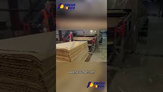 ROLLER CONVEYOR VENEER DRYERmachine wood plywood plywoodmachine [upl. by Airotnahs769]