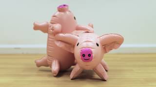 Giant Pass the Pigs  How to Play [upl. by Puna]