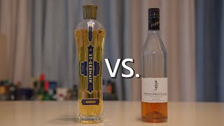 接骨木花利口酒  便宜的与贵的有什么区别？ Elderflower Liqueur Review  St Germain VS Giffard [upl. by Trust127]