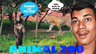 Indira Gandhi Zoological Park ♥️🦘🦓🦎🦔🐅🐯 Vizag Srsnathvlogs TigerElephantLion Vlog [upl. by Wiebmer826]