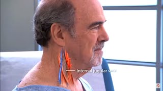 Examination of the jugular venous pulse  JVP examination Procedure video [upl. by Merilyn478]