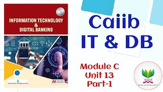 CAIIB 2024  IT ACT 20002008  UNIT 13 PART 1  INFORMATION TECHNOLOGY amp DIGITAL BANKING [upl. by Yob]