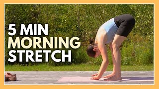 5 Minute Morning Yoga  Daily Stretching Routine [upl. by Shelli]