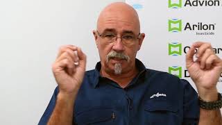 Pest Talk Technical Tips  Why ant species identification is important [upl. by Iroj]