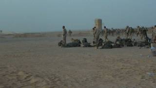 Operation River Liberty Begins as Fox Company 28 Boards Helos at FOB Dwyer Afghanistan 2 July 2009 [upl. by Purse753]