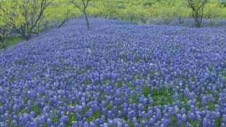 Keep Texas Wild Blackland Prairie [upl. by Verbenia]