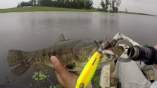 Pesca de traira Isca Devassa 9cm da yara Bela pegada no final do video [upl. by Kahn]