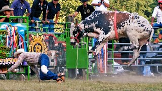 QUE TOROS TAN BRAVOS UN JARIPEO MUY CARDIACORancho la Ilusión en indiana [upl. by Yebot526]