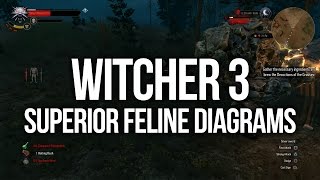 Witcher 3  ALL Superior Feline Diagram Locations Upgrade Armour and Weapons [upl. by Rehpotsirhk655]