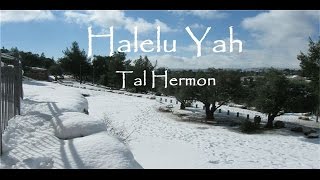 Halelu Yah by Tal Hermon Una adoración espontánea  An spontaneous adoration [upl. by Irotal]