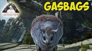 ARK ☛ Extinction ☛ Приручение Gasbags ☛ Ошибка пилотирования ✌ [upl. by Ahsak]