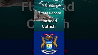 How big is the State Record Flathead Catfish [upl. by Drucilla537]