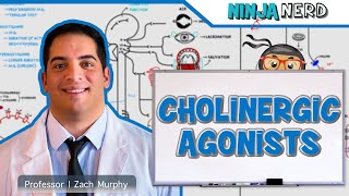 Autonomic Pharmacology  Cholinergic Agonists [upl. by Mortensen512]