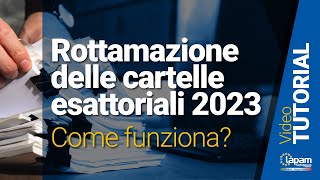 Rottamazione delle cartelle esattoriali  VIDEO TUTORIAL [upl. by Cassil59]