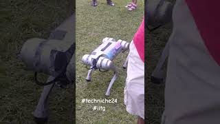 Robo Dog at techniche  IITG [upl. by Neerom708]