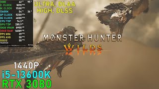 Monster Hunter Wilds Beta ULTRA DLAA 1440P  RTX 3080 amp 13600K [upl. by Aleakcim]