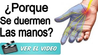 ¿También a ti se te duerme la mano  ¡7 RAZONES que deben PREOCUPARTE [upl. by Litnahs]