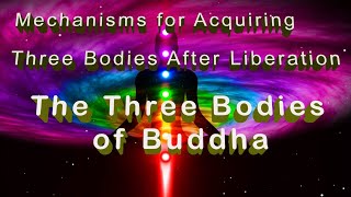 Tibetan Buddhism ⑦ The Three Bodies of Buddha Dharmakaya Sambhogakaya Nirmaṇakaya [upl. by Ynaffik]