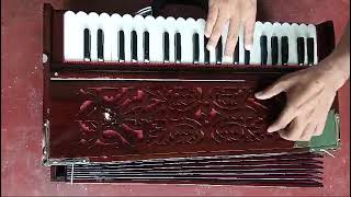 Double Line reed harmonium [upl. by Gaeta]