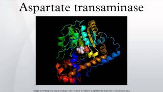 Aspartate transaminase [upl. by Ayram]