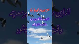 ترجمه فارسی سوره القیامه آیه ۱۱۰islamicstatus quotes allah quran islam qiamat duet [upl. by Erfert]