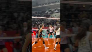 🟡⚫️ Caterina Bosetti 🏐 caterinabosetti vakıfbank sultanlarligi voleybol [upl. by Ciprian636]