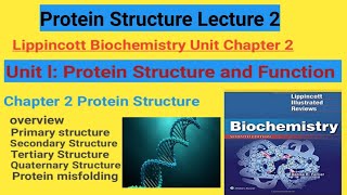 Protein Structure Lippincott Biochemistry Chapter 2 Lecture 2 [upl. by Tanitansy]