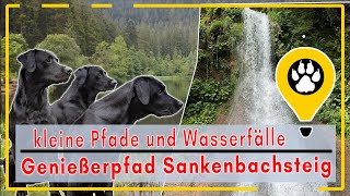 Eines der schönsten Wanderwege in Baiersbronn der Sankenbachsteig [upl. by Rosane]