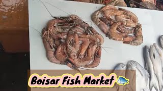 Boisar Fish Market l Wholesale Fish Market l Fish Market l Palghar Boisar Market l Biggest Market [upl. by Naaman315]