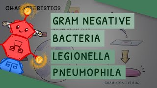 Gram Negative Bacteria Legionella Pneumophila [upl. by Rratsal]