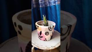 quotDIY HandPainted Planter🌱🎨  Easy amp Creative Pot Painting Ideaquottutorial shorts [upl. by Kciregor]