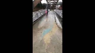 Issaquah Creek flooding at Confluence Park [upl. by Halla368]