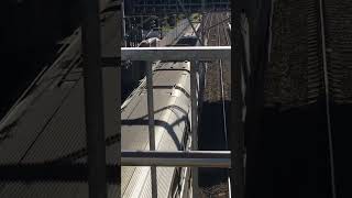 8Car VSet approaches Tuggerah Station [upl. by Piggy]